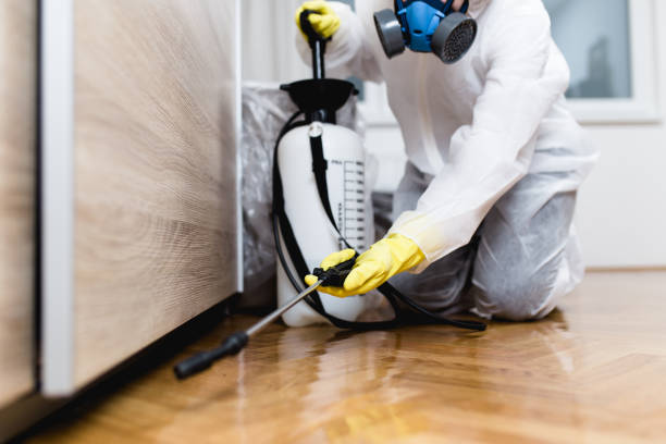  Rogue River, OR Pest Control Pros