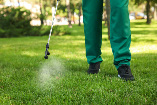 Wasp Removal Services in Rogue River, OR