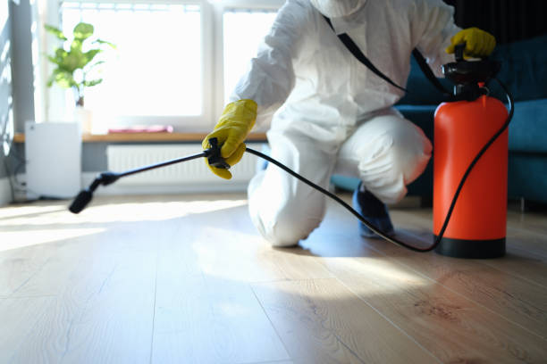 Professional Pest Control in Rogue River, OR