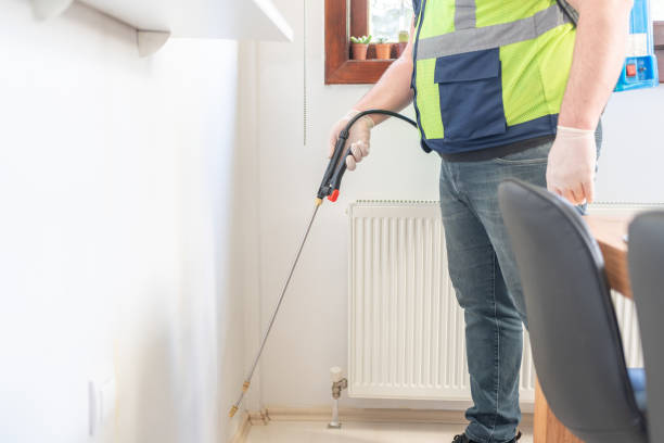 Best Affordable Pest Control Services  in Rogue River, OR