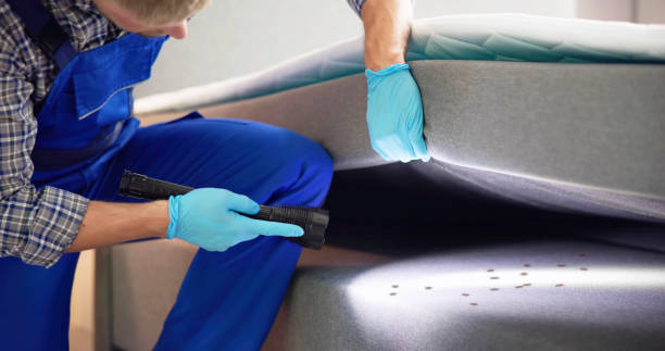 Pest Control Cost in Rogue River, OR